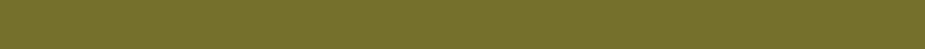 Georgia banner